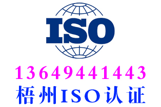 岑溪iso42001人工智能体系认证
